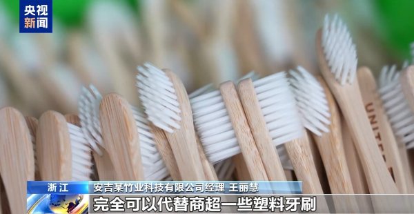 股市配资 从牙刷到交通护栏 “以竹代塑”让竹子可以“百变”